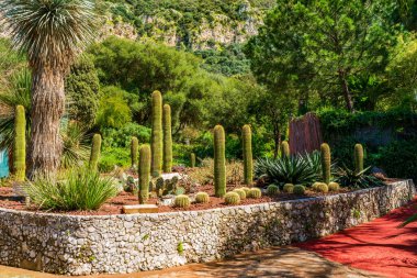 La Alameda Botanik Bahçesi Gibraltar kasabası, İngiltere