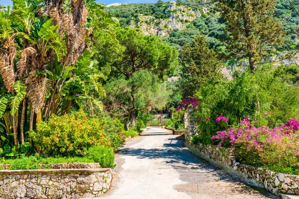 Alameda Botanical Garden Gibraltar Town — Stock Photo, Image