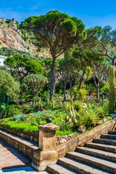 Alameda Botanical Garden Gibraltar Town — Stock Photo, Image