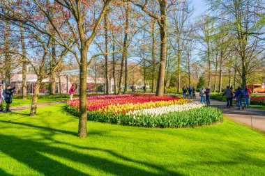 LISSE, HOLLLLAND - 19 Nisan 2023: Ziyaretçiler, dünyanın en büyük çiçek bahçelerinden biri olan Keukenhof Park 'ta çiçek açan lalelerin ve dünya çapında popüler bir turizm merkezinin keyfini çıkarıyorlar..