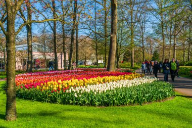 LISSE, HOLLLLAND - 19 Nisan 2023: Ziyaretçiler, dünyanın en büyük çiçek bahçelerinden biri olan Keukenhof Park 'ta çiçek açan lalelerin ve dünya çapında popüler bir turizm merkezinin keyfini çıkarıyorlar..