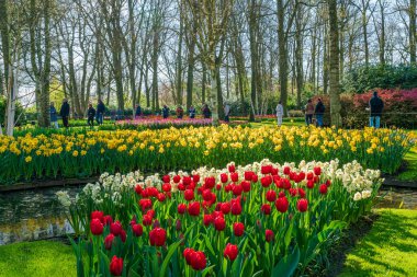 LISSE, HOLLLLAND - 19 Nisan 2023: Ziyaretçiler, dünyanın en büyük çiçek bahçelerinden biri olan Keukenhof Park 'ta çiçek açmanın ve dünya çapında popüler bir turizm merkezinin keyfini çıkarıyorlar..