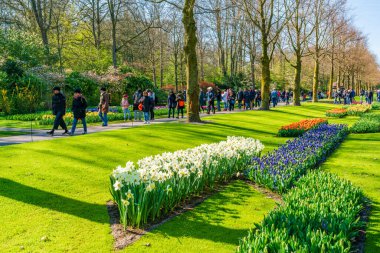 LISSE, HOLLLLAND - 19 Nisan 2023: Ziyaretçiler, dünyanın en büyük çiçek bahçelerinden biri olan Keukenhof Park 'ta çiçek açan lalelerin ve dünya çapında popüler bir turizm merkezinin keyfini çıkarıyorlar..