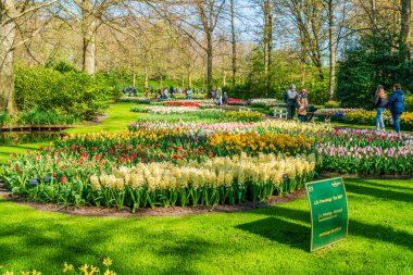 LISSE, HOLLLLAND - 19 Nisan 2023: Ziyaretçiler, dünyanın en büyük çiçek bahçelerinden biri olan Keukenhof Park 'ta çiçek açmanın ve dünya çapında popüler bir turizm merkezinin keyfini çıkarıyorlar..