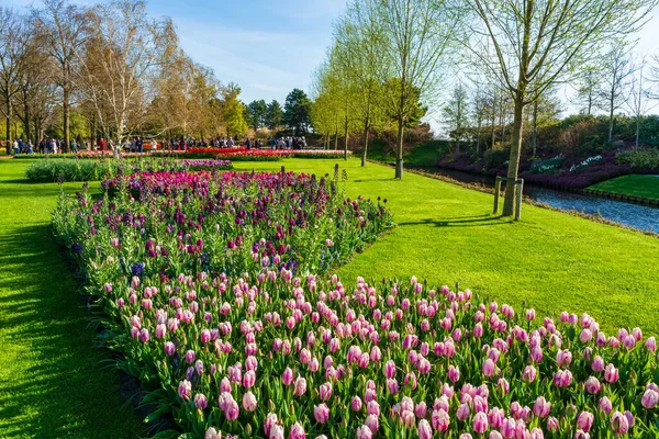 Lisse Holland April 2023 Besucher Genießen Blühende Tulpen Keukenhof Park — Stockfoto