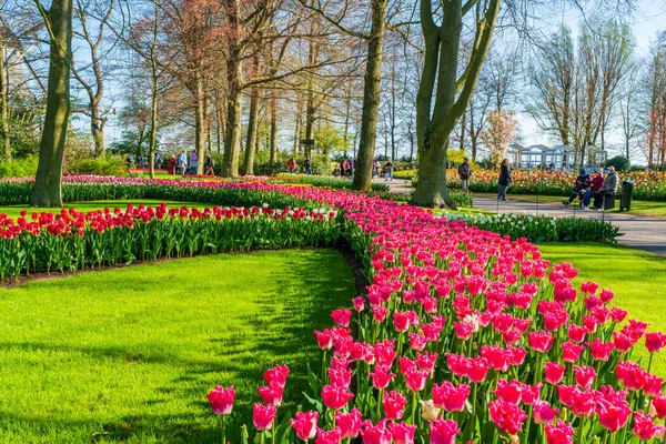 Lisse Holland April 2023 Besökare Njuta Blommande Tulpaner Keukenhof Park — Stockfoto