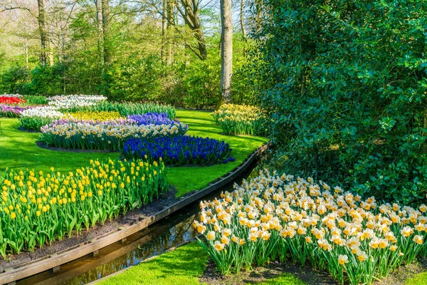 Krásná Keukenhof Zahrada Kvetoucími Květinami Holandsko — Stock fotografie