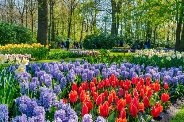 Lisse Holanda Abril 2023 Keukenhof También Conocido Como Jardín Europa — Foto de Stock