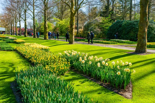 stock image LISSE, HOLLAND - APRIL 19, 2023: Keukenhof, also known as the Garden of Europe, is one of the world's largest flower gardens, situated in Lisse. It's a worldwide popular tourist attraction.