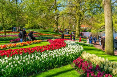 LISSE, HOLLLAND (19 Nisan 2023 - Keukenhof, ayrıca Avrupa Bahçesi olarak da bilinir), Lisse 'de bulunan dünyanın en büyük çiçek bahçelerinden biridir. Dünya çapında popüler bir turizm merkezi..