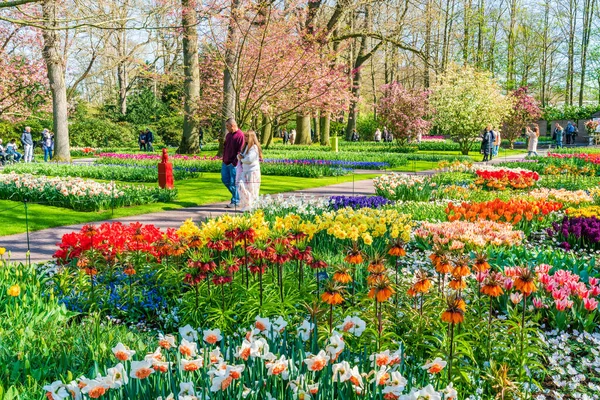 Lisse Holland Abril 2023 Keukenhof Também Conhecido Como Jardim Europa — Fotografia de Stock