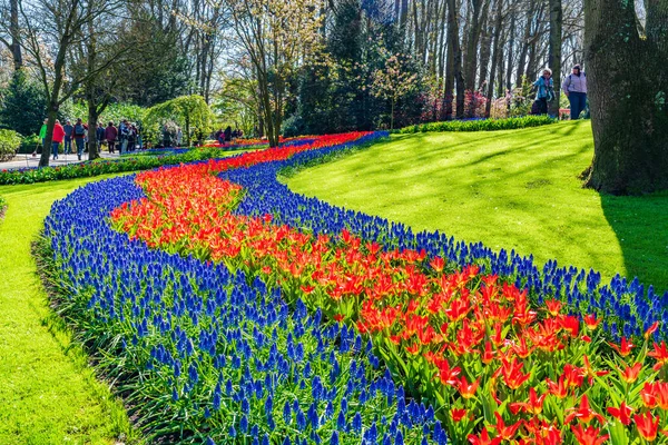 Lisse Holland April 2023 Besucher Genießen Blühende Blumen Keukenhof Park — Stockfoto