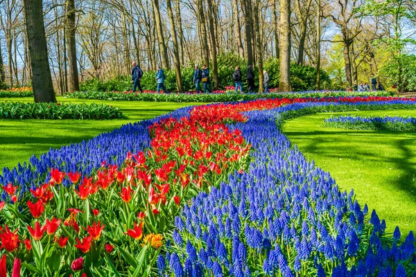 Lisse Holland Duben 2023 Keukenhof Také Známý Jako Zahrada Evropy — Stock fotografie