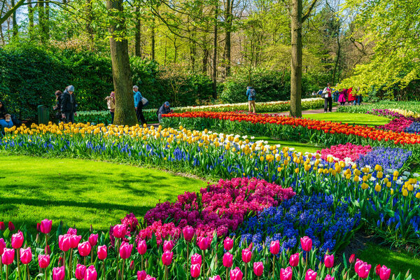 LISSE, HOLLAND - APRIL 19, 2023: Visitors enjoy blooming tulips in Keukenhof Park, one of the world's largest flower gardens and a worldwide popular tourist attraction.