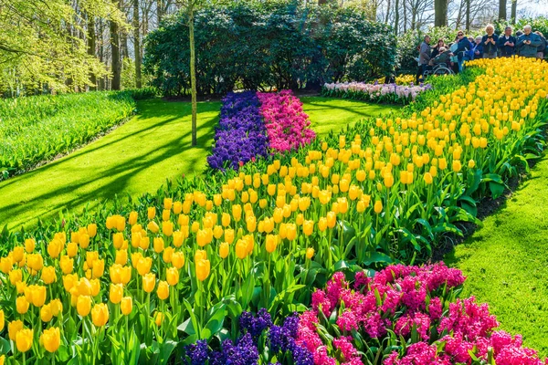 Lisse Holanda Abril 2023 Los Visitantes Disfrutan Flores Flor Parque — Foto de Stock