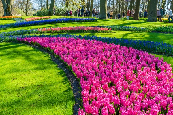 Lisse Holland Abril 2023 Keukenhof Também Conhecido Como Jardim Europa — Fotografia de Stock