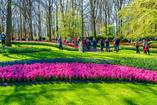 Lisse Holland April 2023 Der Keukenhof Auch Als Garten Europas — Stockfoto