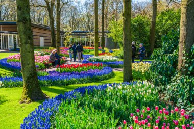 LISSE, HOLLLAND (19 Nisan 2023 - Keukenhof, ayrıca Avrupa Bahçesi olarak da bilinir), Lisse 'de bulunan dünyanın en büyük çiçek bahçelerinden biridir. Dünya çapında popüler bir turizm merkezi..