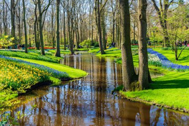 LISSE, HOLLLAND (19 Nisan 2023 - Keukenhof, ayrıca Avrupa Bahçesi olarak da bilinir), Lisse 'de bulunan dünyanın en büyük çiçek bahçelerinden biridir. Dünya çapında popüler bir turizm merkezi..