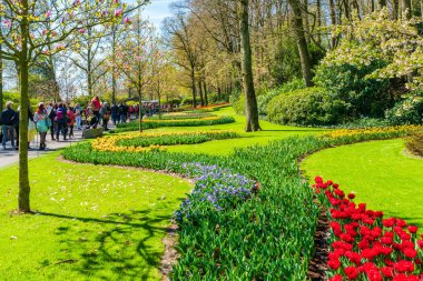LISSE, HOLLLAND (19 Nisan 2023 - Keukenhof, ayrıca Avrupa Bahçesi olarak da bilinir), Lisse 'de bulunan dünyanın en büyük çiçek bahçelerinden biridir. Dünya çapında popüler bir turizm merkezi..