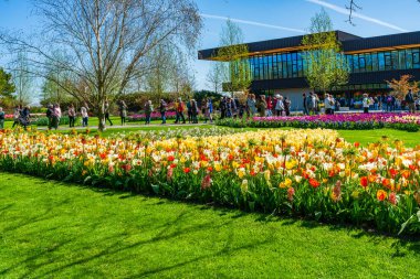 LISSE, HOLLLAND (19 Nisan 2023 - Keukenhof, ayrıca Avrupa Bahçesi olarak da bilinir), Lisse 'de bulunan dünyanın en büyük çiçek bahçelerinden biridir. Dünya çapında popüler bir turizm merkezi..