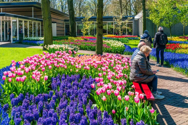 Lisse Holland Duben 2023 Kvetoucí Květiny Parku Keukenhof Jedné Největších — Stock fotografie