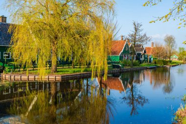 Zaanse Schans Zaandam Hollanda 'da Amsterdam yakınlarında