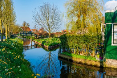 Zaanse Schans Zaandam Hollanda 'da Amsterdam yakınlarında