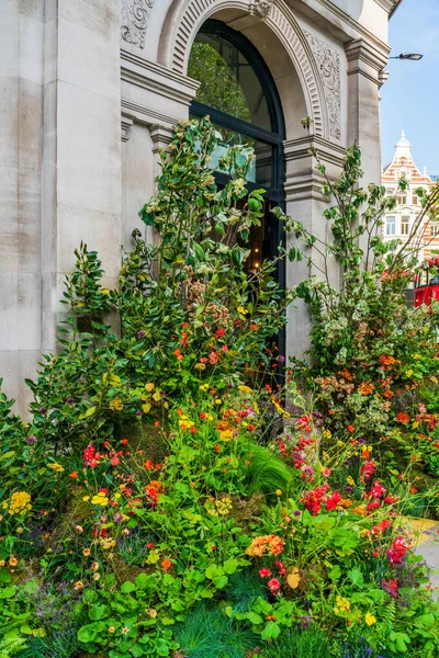 Virágkiállítás Egy Chelsea Bolt Előtt Chelsea Alatt Bloom Éves Virágkiállításán — Stock Fotó