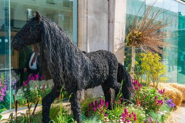 Londra, İngiltere - 24 Mayıs 2023: Chelsea için her yıl düzenlenen çiçek sergisi Chelsea sokaklarını taze çiçeklerden yapılmış nefes kesici görüntülerle donattı.
