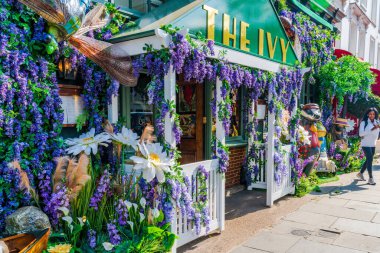 LONDON, İngiltere - 24 Mayıs 2023: Londra 'daki Bloom yıllık çiçek sergisi sırasında Chelsea' deki Ivy restoranının vitrinini muhteşem bir çiçek sergisi dekore etti