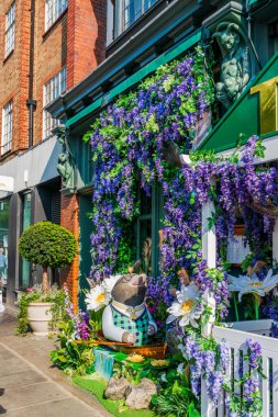 LONDON, İngiltere - 24 Mayıs 2023: Londra 'daki Bloom yıllık çiçek sergisi sırasında Chelsea' deki Ivy restoranının vitrinini muhteşem bir çiçek sergisi dekore etti