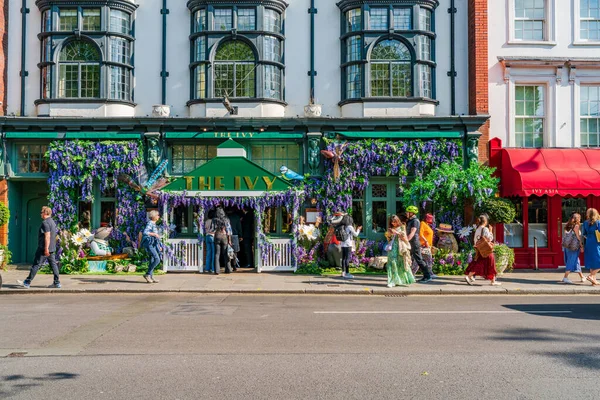LONDON, İngiltere - 24 Mayıs 2023: Londra 'daki Bloom yıllık çiçek sergisi sırasında Chelsea' deki Ivy restoranının vitrinini muhteşem bir çiçek sergisi dekore etti