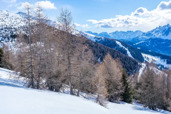 Vinterlandskap Med Snötäckta Dolomiter Kronplatz Italien — Stockfoto