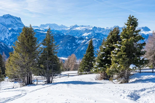 İtalya 'nın Kronplatz kentindeki Dolomitlerle kaplı kış manzarası