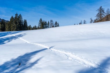 İtalya 'nın Kronplatz kentindeki Dolomitlerle kaplı kış manzarası