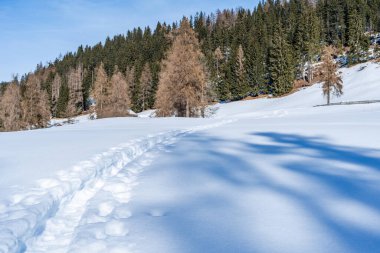 İtalya 'nın Kronplatz kentindeki Dolomitlerle kaplı kış manzarası