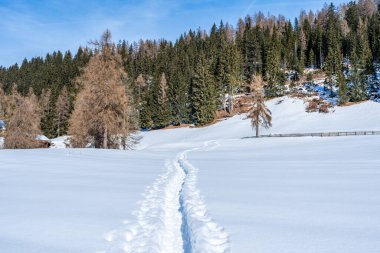 İtalya 'nın Kronplatz kentindeki Dolomitlerle kaplı kış manzarası