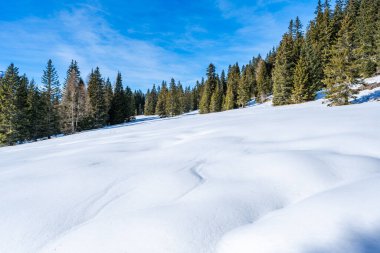 İtalya 'nın Kronplatz kentindeki Dolomitlerle kaplı kış manzarası