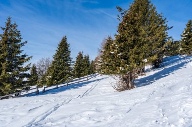 İtalya 'nın Kronplatz kentindeki Dolomitlerle kaplı kış manzarası
