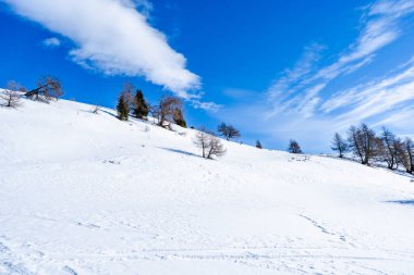 İtalya 'nın Kronplatz kentindeki Dolomitlerle kaplı kış manzarası