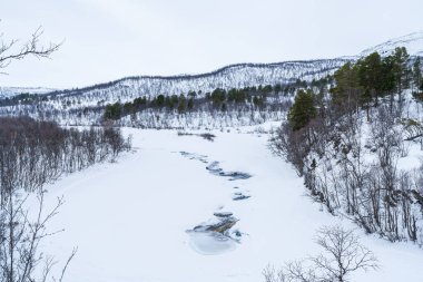 Winter landscape in Abisko National Park, Abisko, Sweden clipart