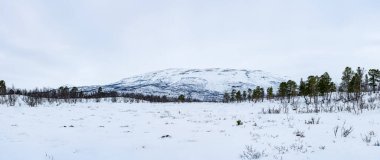 Abisko Ulusal Parkı, Abisko, İsveç 'teki kışın geniş panoramik manzarası