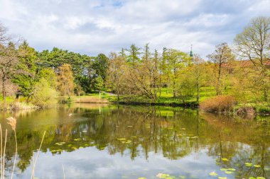 Danimarka, Kopenhag 'da Botanik Bahçesi' nde küçük bir gölet.