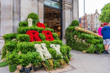 LONDON, İngiltere - 25 Mayıs 2024: Chelsea için her yıl düzenlenen çiçek sergisi Chelsea sokaklarını taze çiçeklerden yapılmış nefes kesici görüntülerle donattı.