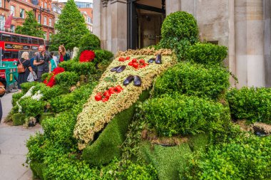 LONDON, İngiltere - 25 Mayıs 2024: Chelsea için her yıl düzenlenen çiçek sergisi Chelsea sokaklarını taze çiçeklerden yapılmış nefes kesici görüntülerle donattı.