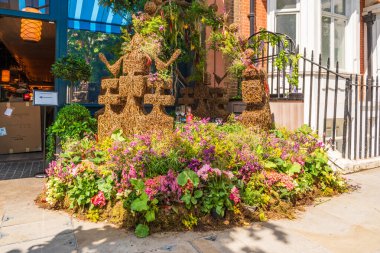 LONDON, İngiltere - 25 Mayıs 2024: Chelsea için her yıl düzenlenen çiçek sergisi Chelsea sokaklarını taze çiçeklerden yapılmış nefes kesici görüntülerle donattı.
