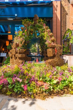 LONDON, İngiltere - 25 Mayıs 2024: Chelsea için her yıl düzenlenen çiçek sergisi Chelsea sokaklarını taze çiçeklerden yapılmış nefes kesici görüntülerle donattı.