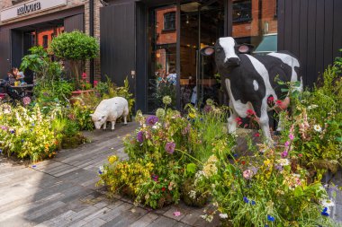 LONDON, İngiltere - 25 Mayıs 2024: Chelsea için her yıl düzenlenen çiçek sergisi Chelsea sokaklarını taze çiçeklerden yapılmış nefes kesici görüntülerle donattı.