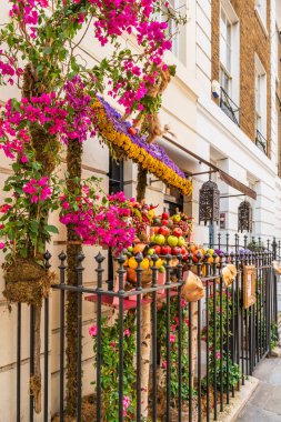 LONDON, İngiltere - 25 Mayıs 2024: Chelsea in Bloom, Chelsea sokaklarının en görkemli çiçek sergisi